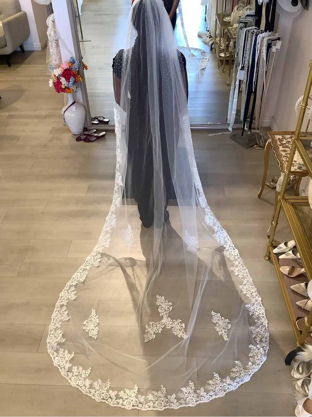 Elegant Lace-Trim Cathedral Wedding Veil in White